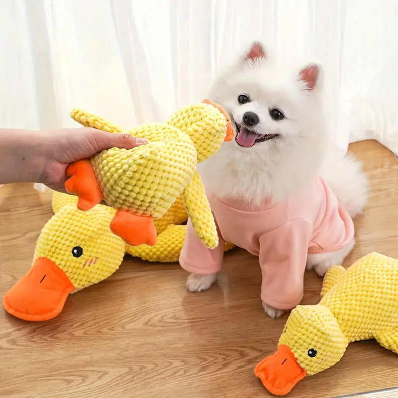 Weißer Pomeranian-Hund mit gelbem Plüsch-Entenspielzeug. Niedlicher Hund in rosa Pullover, spielend auf Holzboden. Haustierbedarf, Hundespielzeug.