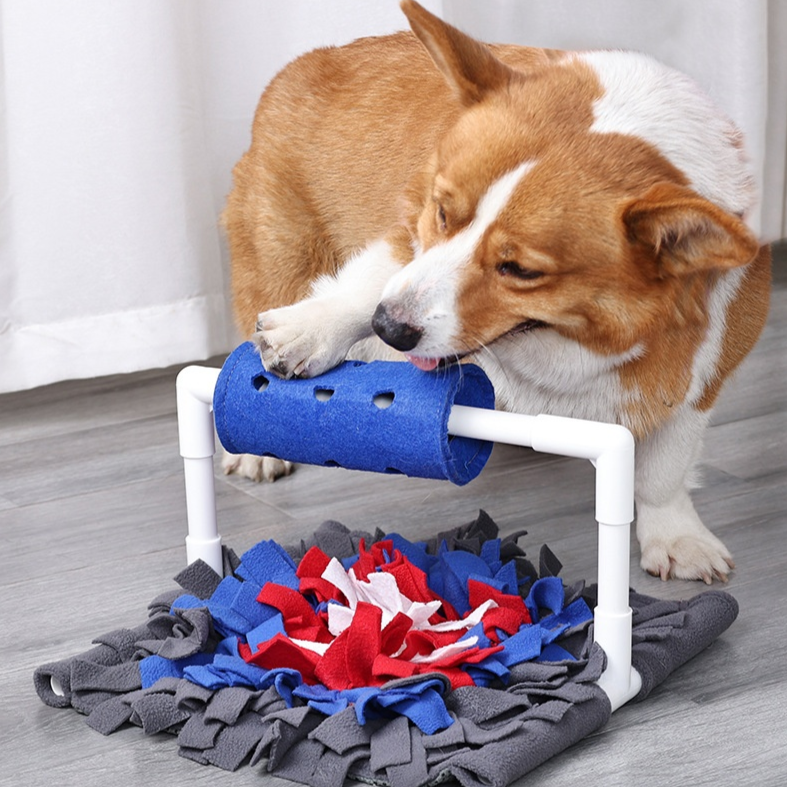 Hund spielt mit interaktivem Schnüffelteppich-Spielzeug, ideal für mentale Stimulation und Beschäftigung. Perfekt für Corgis und andere Hunderassen.