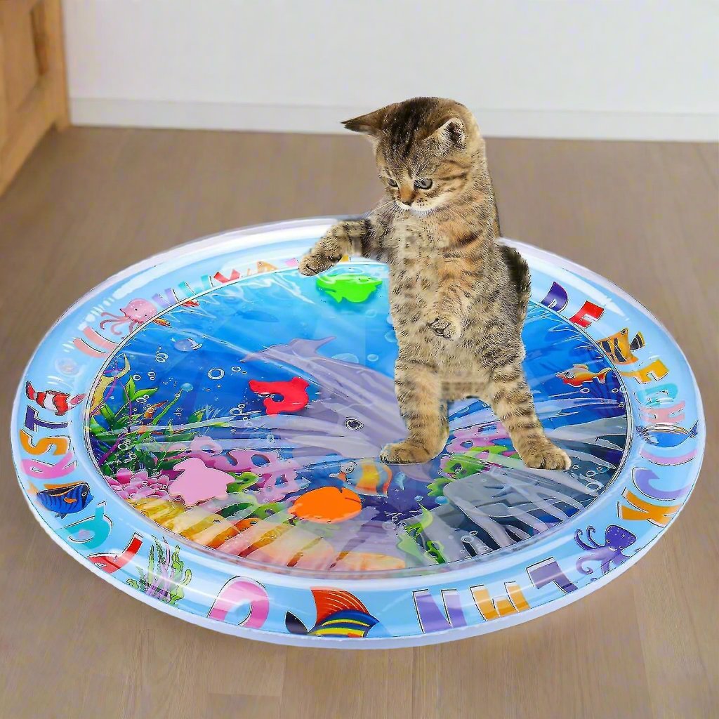Kätzchen spielt auf einem bunten Wasserspielmatte mit Meeresmotiven. Perfektes interaktives Katzenspielzeug, das Neugier und Bewegung fördert.
