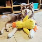 Hund mit gelbem Plüschente-Spielzeug, liegend auf Fliesenboden. Niedlicher Hund, Spielzeug, Haustier, Plüschente, Kuscheltier, Hundespielzeug.