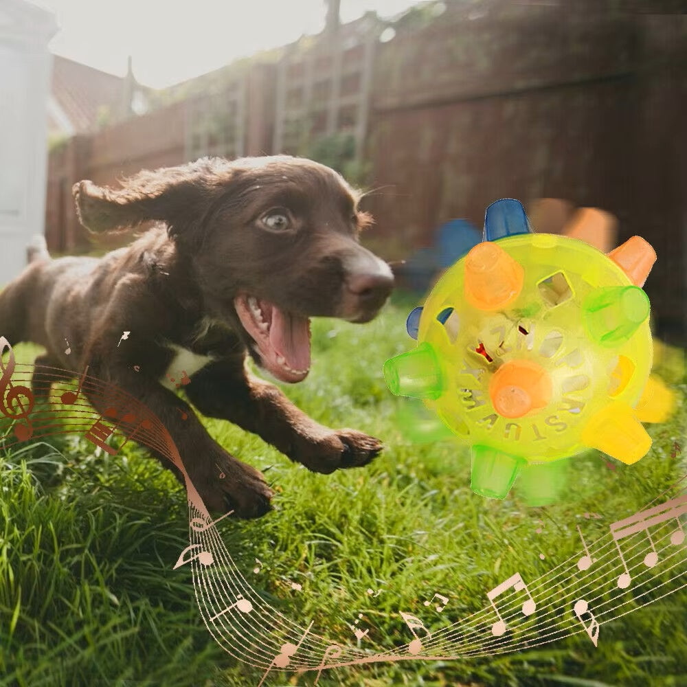 Spielender Welpe im Garten mit buntem, interaktivem Hundespielzeugball. Perfekt für aktive Hunde, fördert Bewegung und Spaß im Freien.