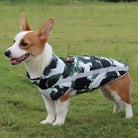 Corgi im Tarnmantel auf Wiese, Hundebekleidung, Outdoor-Hundejacke, stilvoller Hundemantel, Haustiermode, wetterfest, bequem, modern.