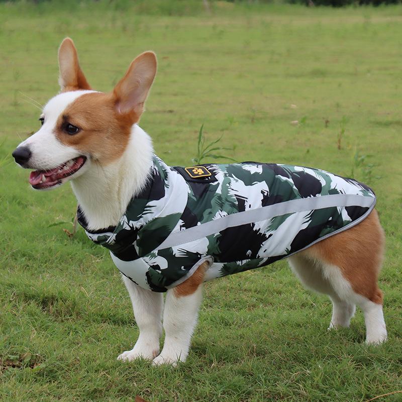Corgi im Tarnmantel auf Wiese, Hundebekleidung, Outdoor-Hundejacke, stilvoller Hundemantel, Haustiermode, wetterfest, bequem, modern.