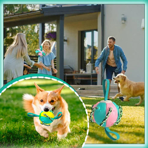 Hundespielzeug Ball mit Seil, ideal für Apportierspiele im Garten. Robustes Design, fördert Aktivität und Spaß für Hunde aller Größen.