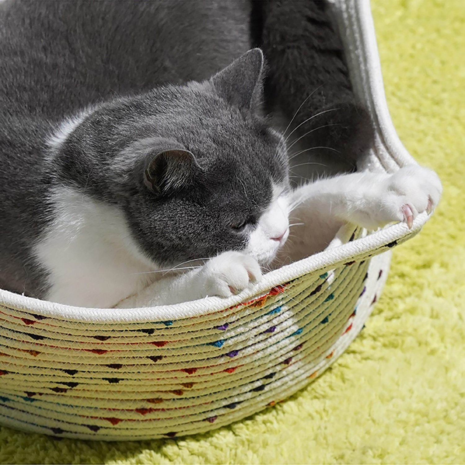 Graue Katze in geflochtenem Katzenbett aus Seil auf grünem Teppich, gemütlich und entspannt.