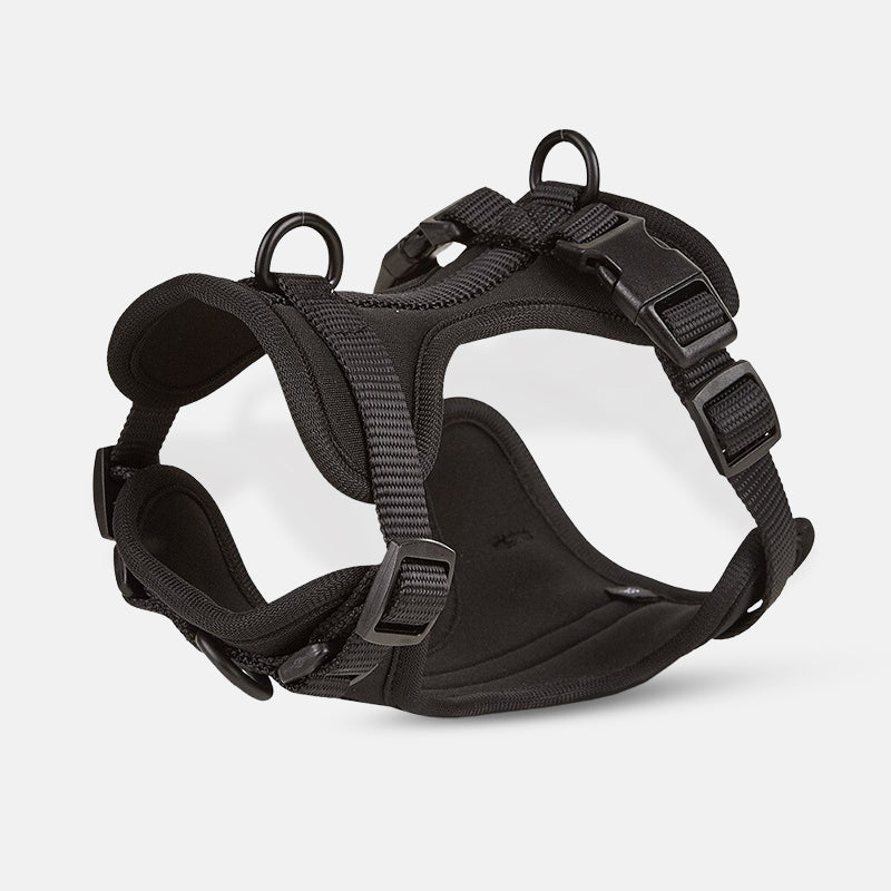 Schwarzes Hundegeschirr, verstellbar und gepolstert, ideal für Komfort und Kontrolle beim Gassigehen. Robuste Schnallen, reflektierende Details.