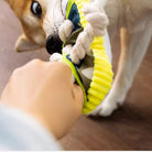 Hund spielt mit gelbem Kauspielzeug aus Seil und Stoff auf Holzboden.