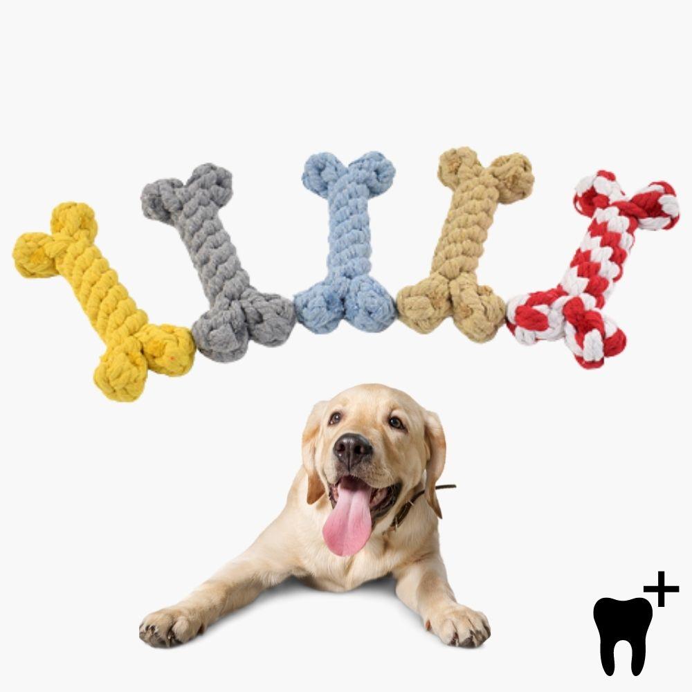 Hundespielzeug-Set aus Seil in Knochenform, 5-teilig, robust und zahnfreundlich, ideal für Welpen und kleine Hunde, langlebig und farbenfroh.