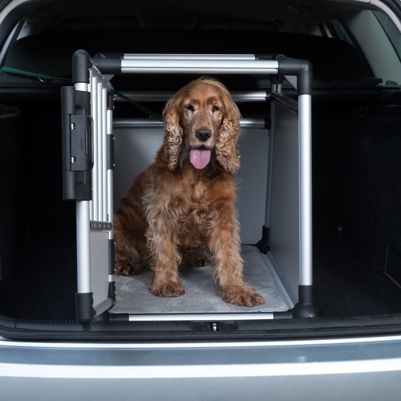 Hochwertige Trixie Transportbox aus Aluminium für Hunde im Auto, sicher und stabil, ideal für Reisen, schützt Haustiere und Fahrzeug.