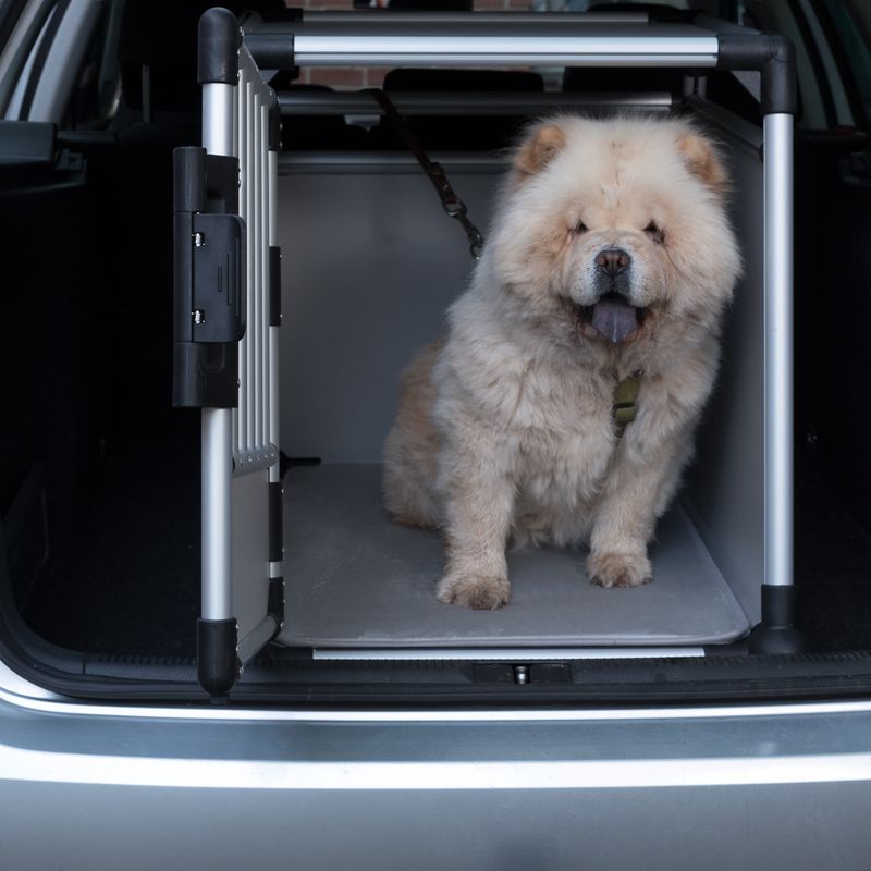 Trixie Transportbox aus Aluminium für Hunde im Auto, sicher und stabil, ideal für Reisen, schützt Haustiere, einfache Montage, hochwertige Qualität.