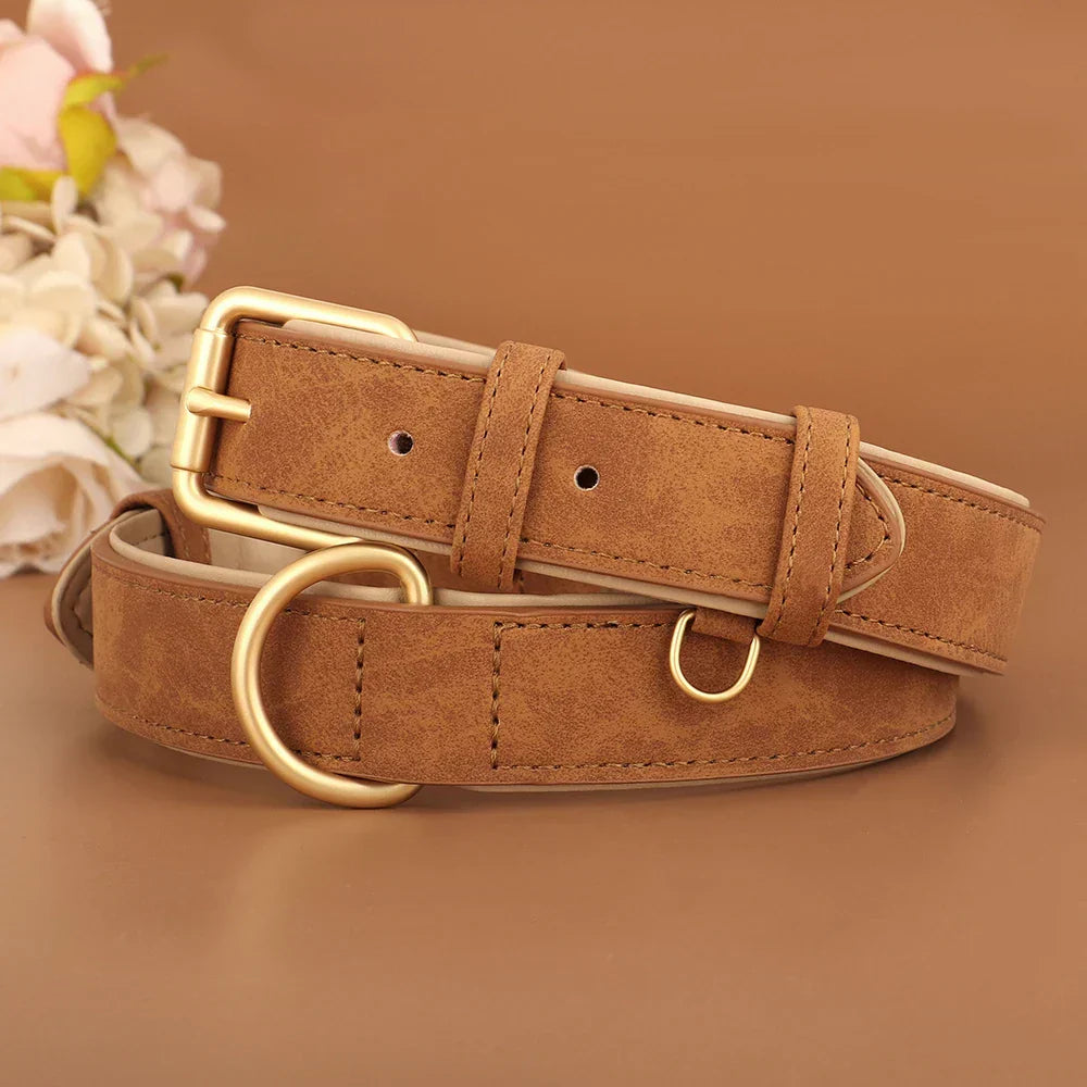 Hochwertiger brauner Ledergürtel mit goldener Schnalle und D-Ring, ideal für stilvolle Outfits. Perfekt für Damenmode und Accessoires.