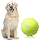 Golden Retriever neben einem großen, gelben Tennisball. Perfektes Hundespielzeug, ideal für aktive Hunde. Hundezubehör, Spielspaß, Haustierbedarf.