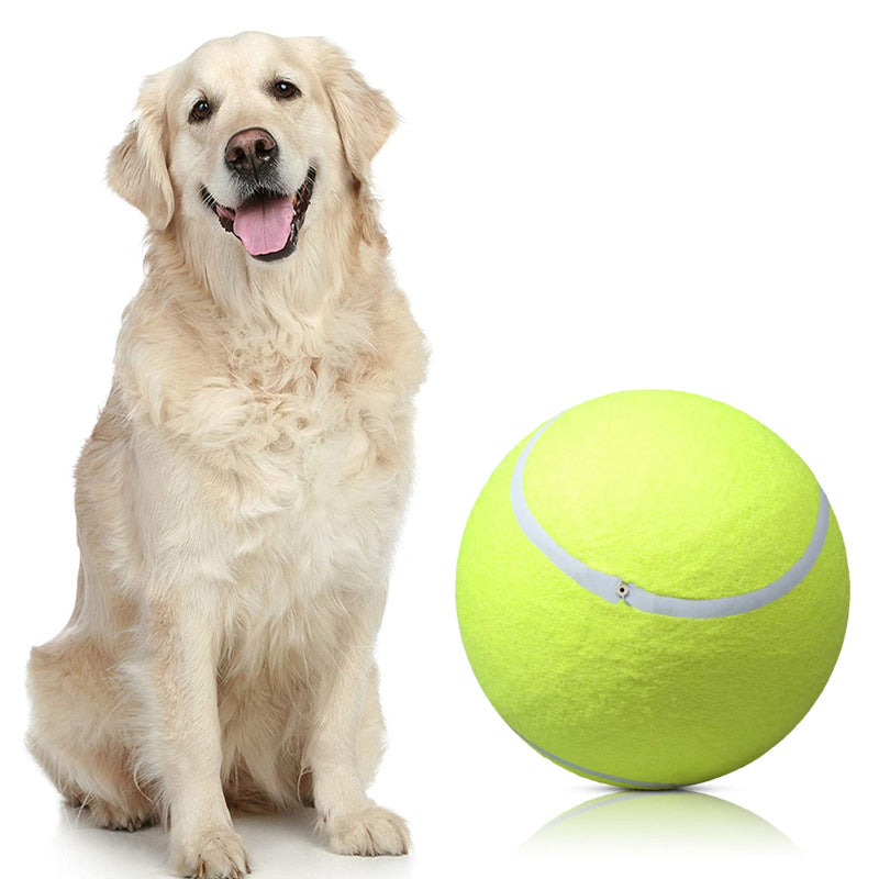 Golden Retriever neben einem großen, gelben Tennisball. Perfektes Hundespielzeug, ideal für aktive Hunde. Hundezubehör, Spielspaß, Haustierbedarf.