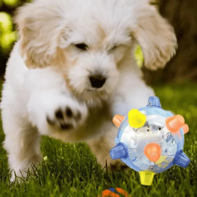 Welpe spielt mit interaktivem Hundespielzeug im Freien. Perfekt für Haustierbesitzer, die nach unterhaltsamen und anregenden Spielmöglichkeiten suchen.
