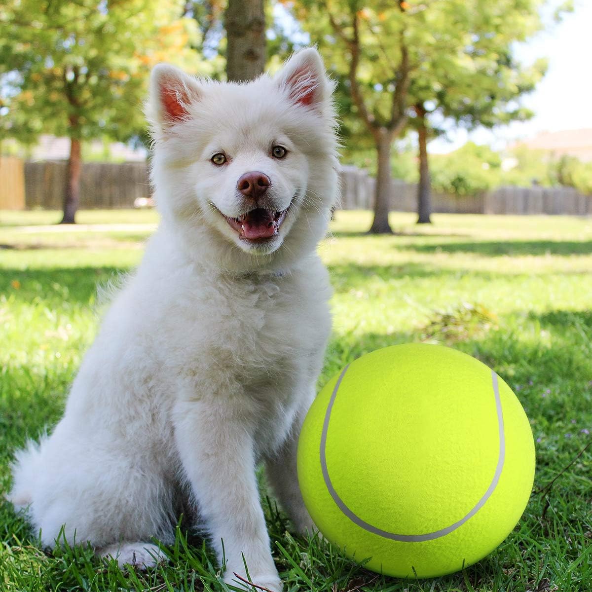 Weißer Hund im Park mit großem gelben Tennisball. Perfektes Bild für Haustierliebhaber, Hundespielzeug, Outdoor-Aktivitäten.