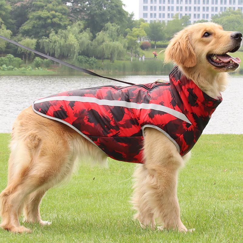 Golden Retriever mit roter Hundejacke am See. Hundebekleidung, Outdoor-Hundemantel, wasserdicht, warm, stilvoll, ideal für Spaziergänge.