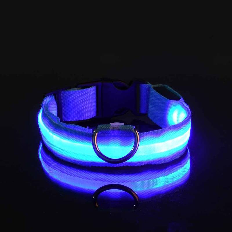 Leuchtendes LED-Hundehalsband in Blau, ideal für Sicherheit und Sichtbarkeit bei Nacht. Perfekt für Spaziergänge und Outdoor-Aktivitäten.
