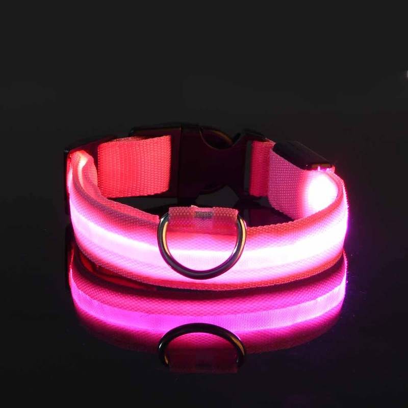 Leuchtendes LED-Hundehalsband in Pink, ideal für Sicherheit bei Nacht. Verstellbar, wasserfest, langlebig. Perfekt für Spaziergänge im Dunkeln.