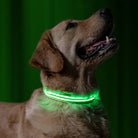 Leuchtendes LED-Hundehalsband in Grün für bessere Sichtbarkeit bei Nacht. Ideal für Sicherheit und Stil, langlebig und wasserfest.