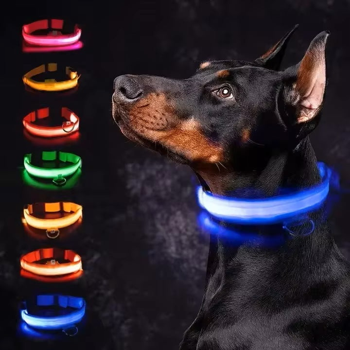 LED-Hundehalsband in verschiedenen Farben, ideal für Sicherheit und Sichtbarkeit bei Nacht. Perfekt für Hunde, langlebig und wetterfest.