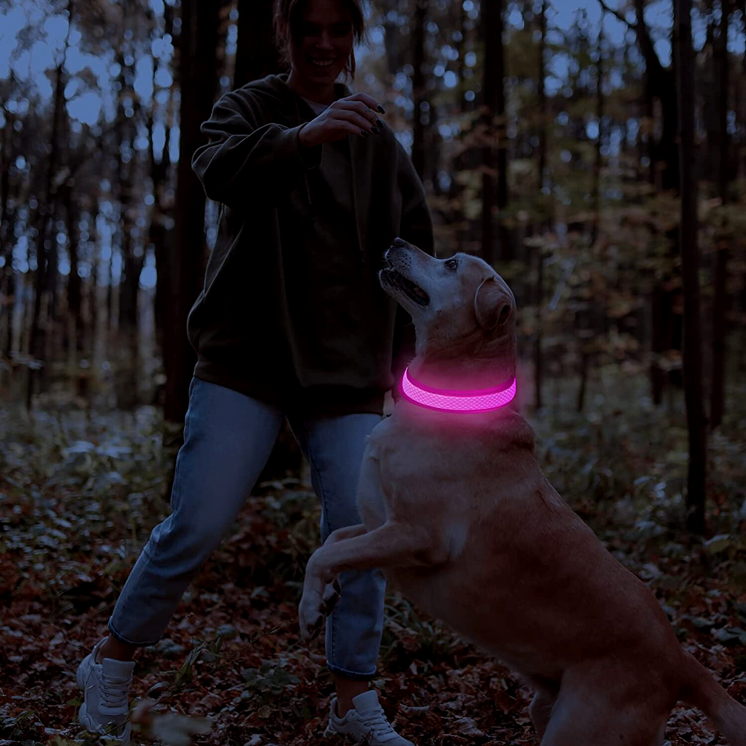 Leuchtendes LED-Hundehalsband in Pink, ideal für Spaziergänge im Dunkeln. Erhöht die Sicherheit und Sichtbarkeit Ihres Hundes im Wald.