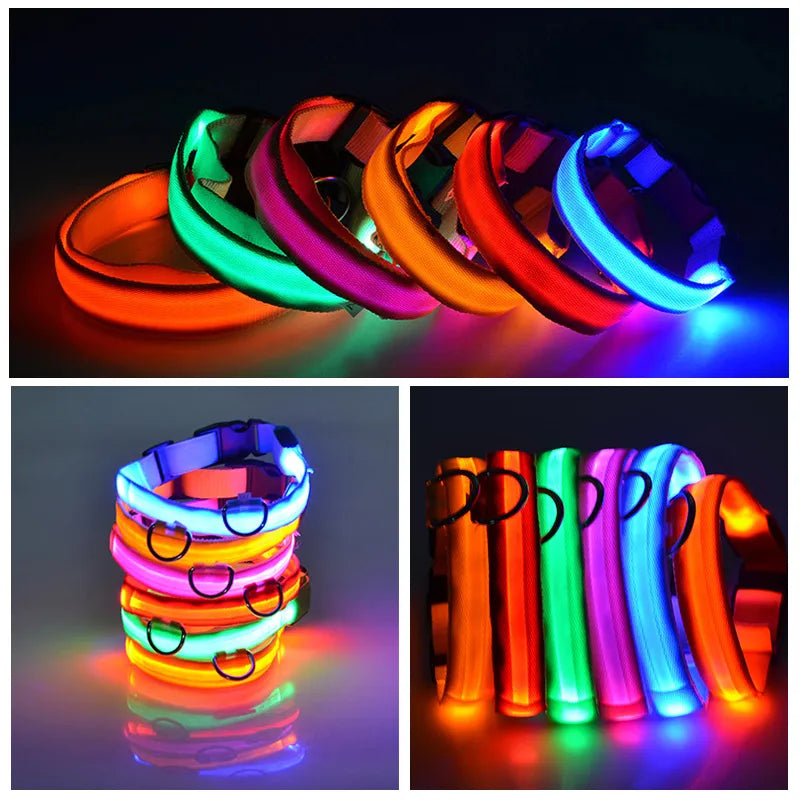 LED-Hundehalsband in leuchtenden Farben, ideal für Sicherheit und Sichtbarkeit bei Nacht. Perfekt für Spaziergänge und Outdoor-Aktivitäten.