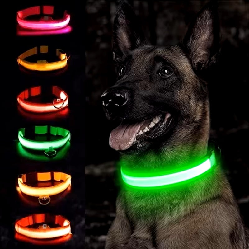 LED-Hundehalsband in leuchtendem Grün, ideal für Sicherheit bei Nacht. Verstellbar, wasserdicht, langlebig. Perfekt für Spaziergänge im Dunkeln.