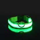 Leuchtendes LED-Hundehalsband in Grün, ideal für Sicherheit bei Nacht. Verstellbar, langlebig, wasserfest. Perfekt für Spaziergänge im Dunkeln.