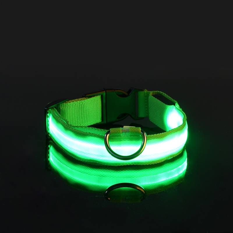 Leuchtendes LED-Hundehalsband in Grün, ideal für Sicherheit bei Nacht. Verstellbar, langlebig, wasserfest. Perfekt für Spaziergänge im Dunkeln.