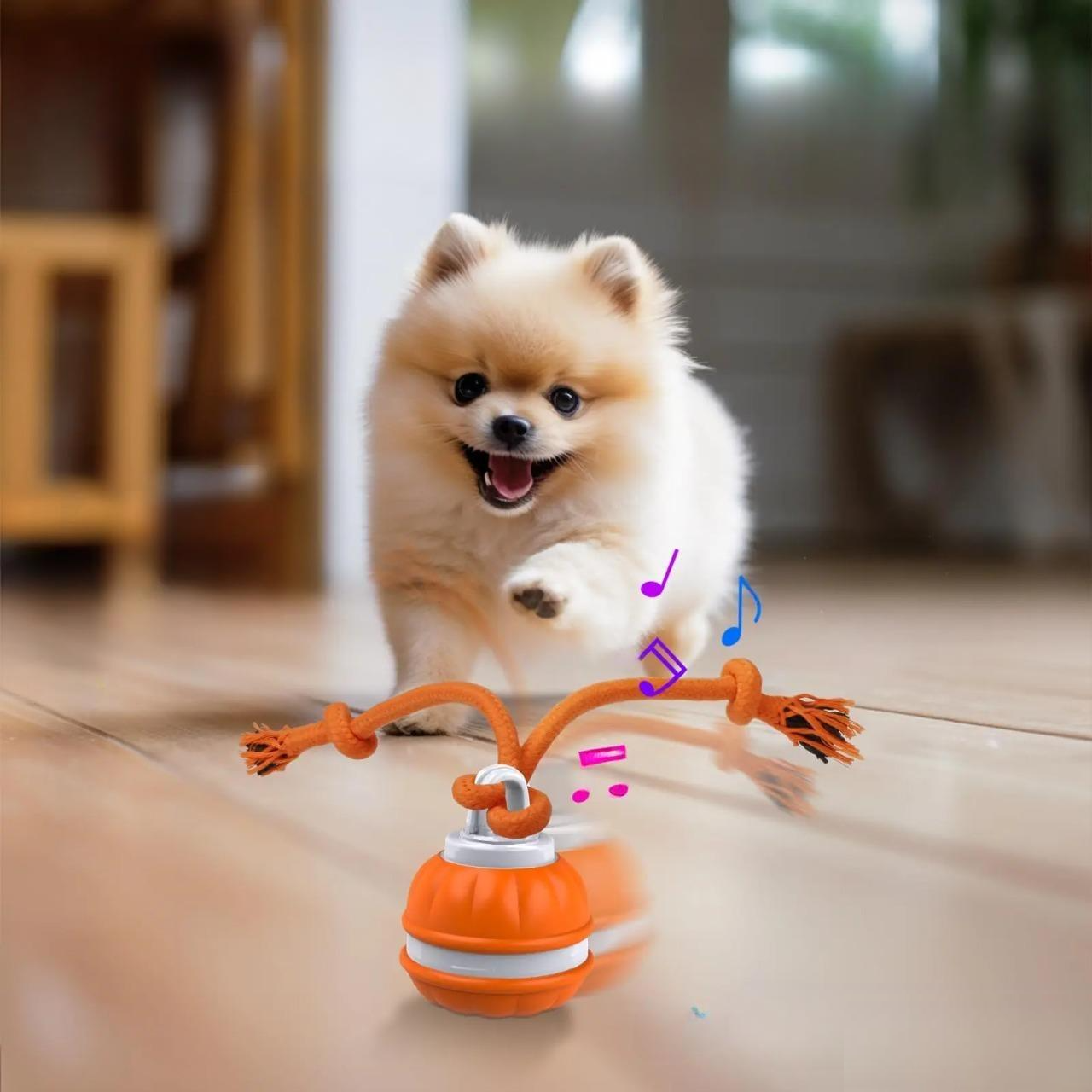 Interaktives Hundespielzeug in Orange mit Seil und Musikfunktion, ideal für Welpen. Fördert Spielspaß und Bewegung. Perfekt für aktive Hunde.