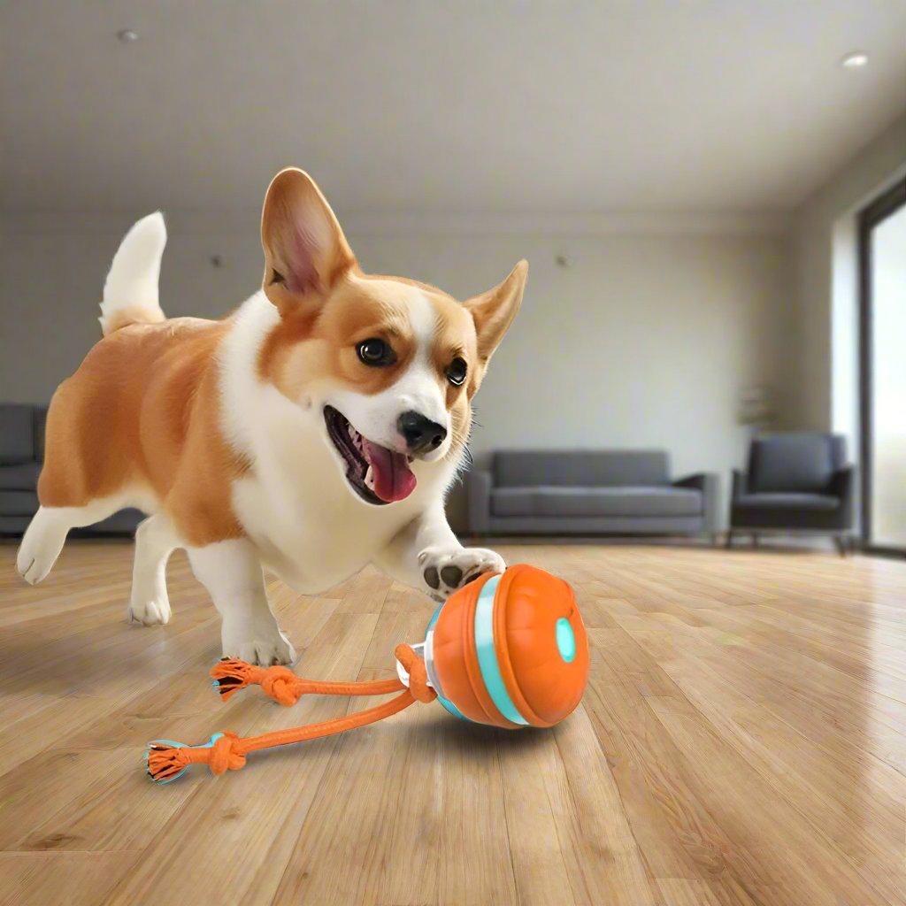 Interaktives Hundespielzeug für Hunde, orange, robust, fördert Aktivität und Intelligenz, ideal für drinnen, langlebig, hochwertig.