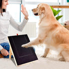 Hund trainiert mit Kratzbrett, um Krallen zu pflegen. Effektives Hundezubehör für gesunde Pfotenpflege. Ideal für Hundetraining und Wellness.