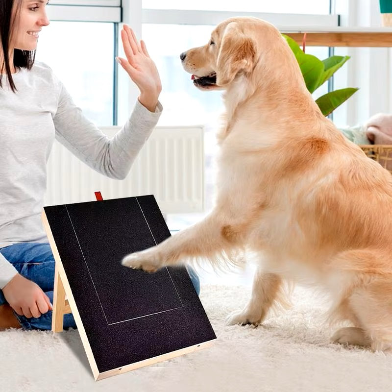 Hund trainiert mit Kratzbrett, um Krallen zu pflegen. Effektives Hundezubehör für gesunde Pfotenpflege. Ideal für Hundetraining und Wellness.