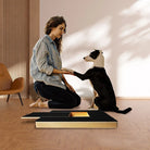 Frau trainiert Hund mit Kratzbrett und Leckerlis. Hundepflege, Krallenpflege, interaktives Hundespielzeug, Training, Belohnungssystem.