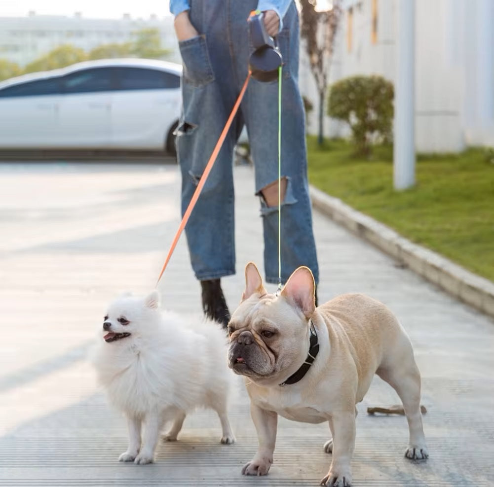 Doppelleine für Hunde, ideal für Spaziergänge mit zwei Hunden. Robuste Konstruktion, komfortabler Griff, geeignet für kleine und mittelgroße Hunde.