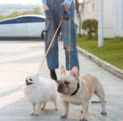 Doppelleine für Hunde, ideal für Spaziergänge mit zwei Hunden. Robuste Konstruktion, komfortabler Griff, geeignet für kleine und mittelgroße Hunde.