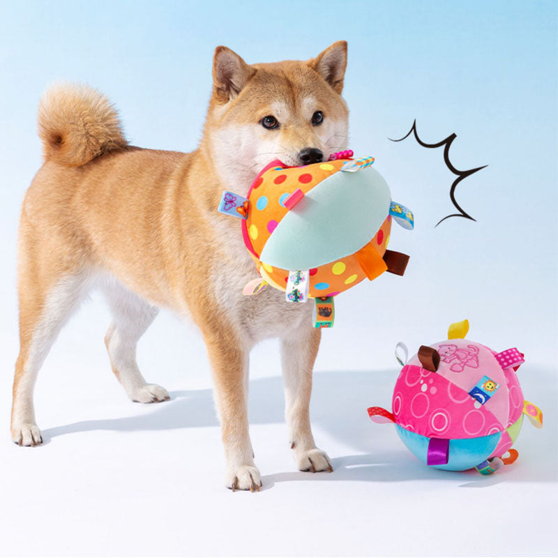Hund spielt mit buntem, besticktem Quietschball-Spielzeug. Perfekt für Haustiere, langlebig, interaktiv, fördert Aktivität und Spaß.