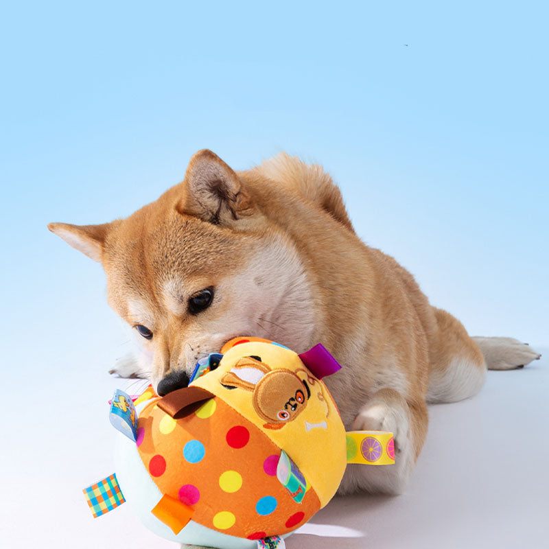 Niedlicher Hund spielt mit buntem, besticktem Quietschball. Perfektes Haustierspielzeug, langlebig und interaktiv. Ideal für Hundeunterhaltung.