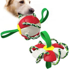 Hundespielzeug Ball mit Seilen, robust und interaktiv, ideal für Kauen und Apportieren. Perfekt für aktive Hunde, langlebig und sicher.