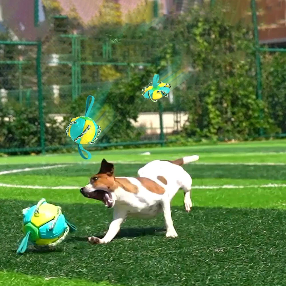 Hund spielt mit interaktivem Hundespielzeug auf grünem Rasen. Perfekt für aktive Hunde, robust und ideal für Outdoor-Spiele.