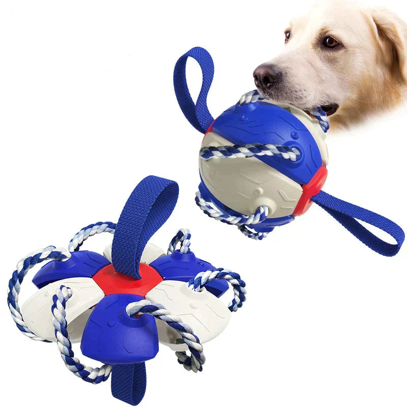 Hundespielzeug Ball mit Seil, robust und interaktiv, ideal für Kauen und Apportieren, langlebig, fördert Zahngesundheit und Spielspaß.