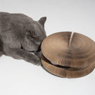Graue Katze mit faltbarem Kratzbrett aus Pappe, langlebig, mit Glockenball.