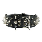 Schwarzes Lederhalsband mit silbernen Nieten, robustes Design, für Hunde, modisches Accessoire.