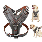Hundegeschirr aus Leder, verstellbar, robust, braun, für große Hunde, mit Metallschnallen.
