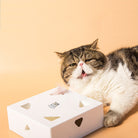 Katze mit weißem interaktivem Katzenspielzeug auf beigem Hintergrund.