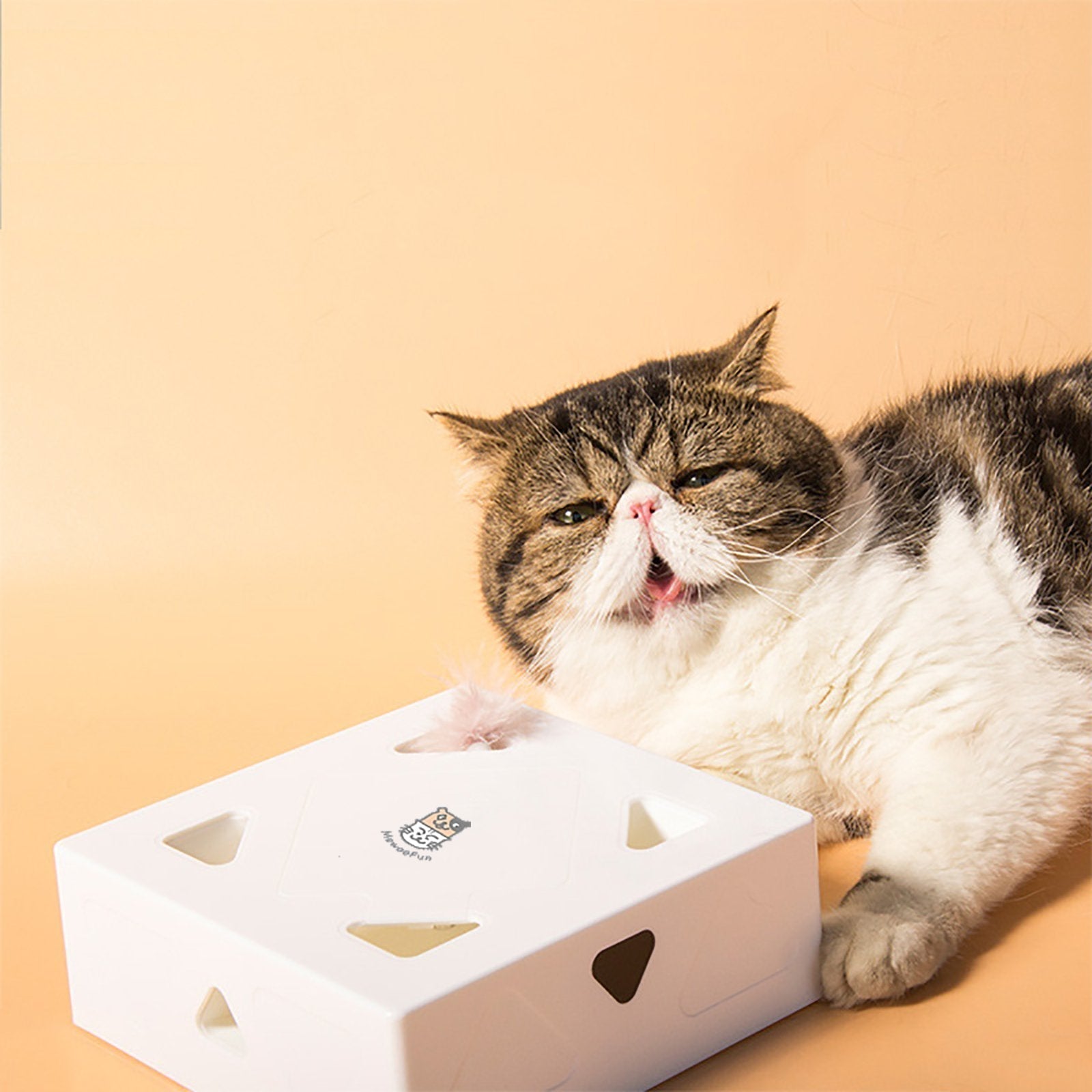 Katze mit weißem interaktivem Katzenspielzeug auf beigem Hintergrund.