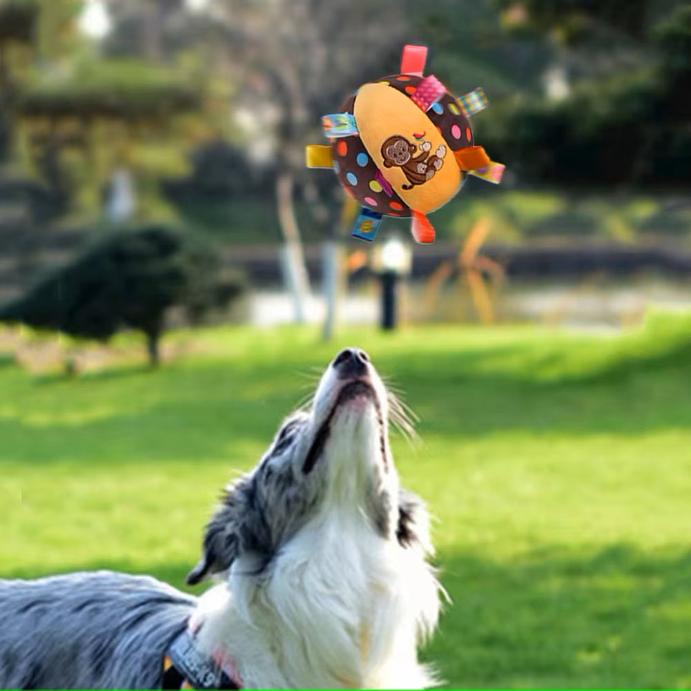 Hund spielt mit buntem Hundespielzeug im Freien. Robuster Ball mit Affenmotiv, ideal für interaktive Spiele. Perfekt für aktive Hunde.