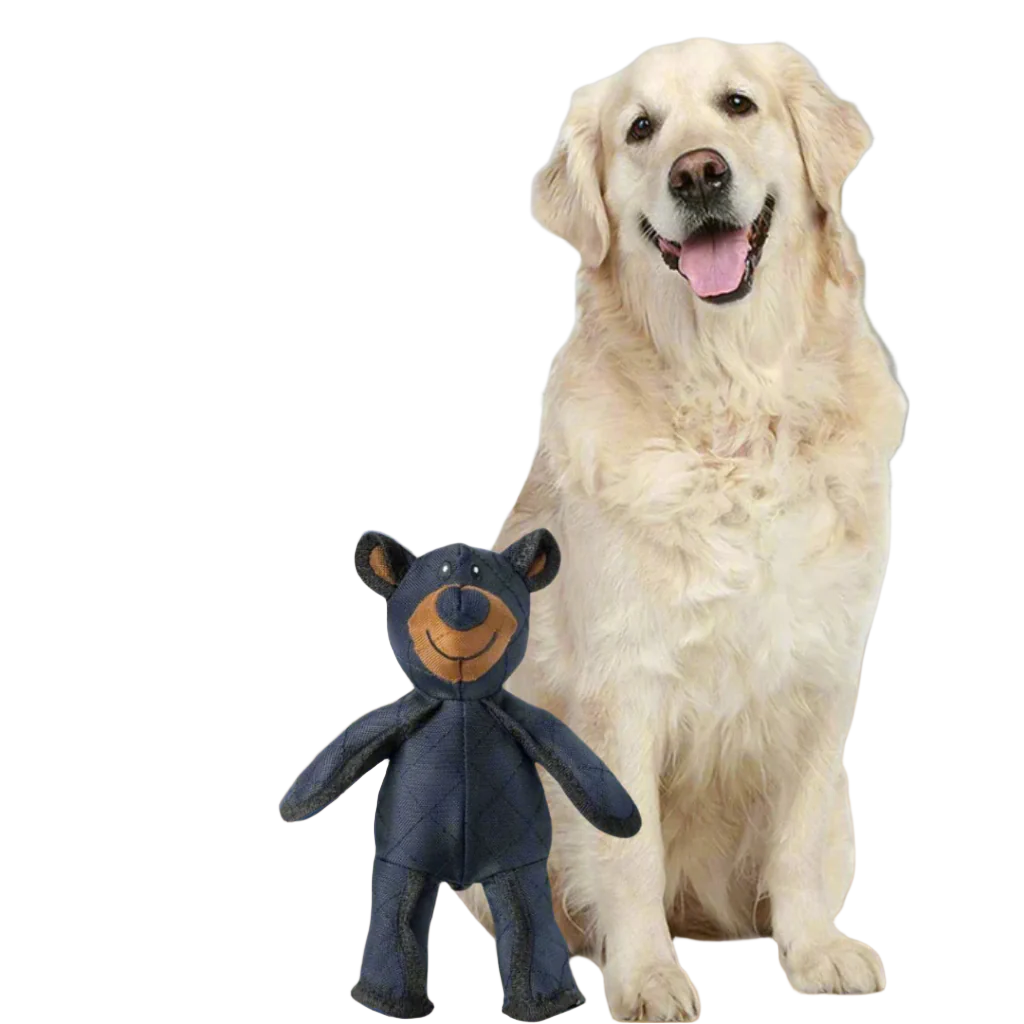 Golden Retriever sitzt neben einem Plüschtier-Bären. Perfektes Hundespielzeug, robust und langlebig. Ideal für Haustierliebhaber und Hundebesitzer.