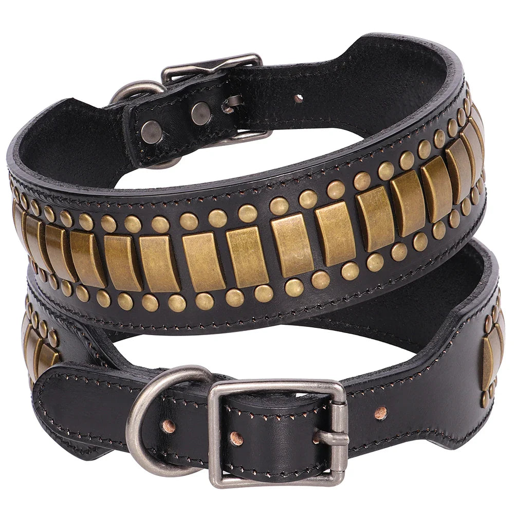 Schwarzes Lederhalsband mit goldenen Nieten, verstellbar, robust, modisch, für Hunde.