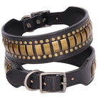 Schwarzes Lederhalsband mit goldenen Nieten, verstellbar, robust, modisch, für Hunde.